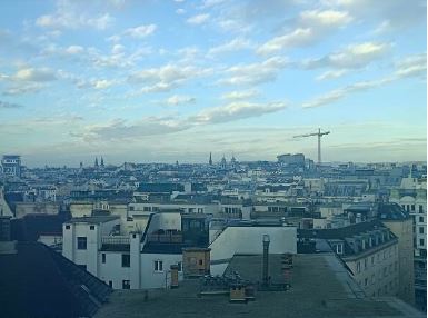 vienne-article FM-conviction 4-ANG-mars 2026