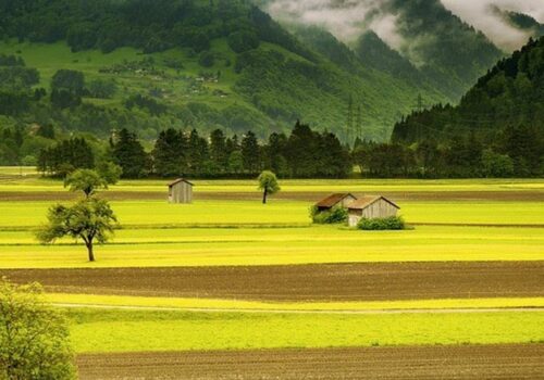 seance 11 septembre-2024-cover-FM