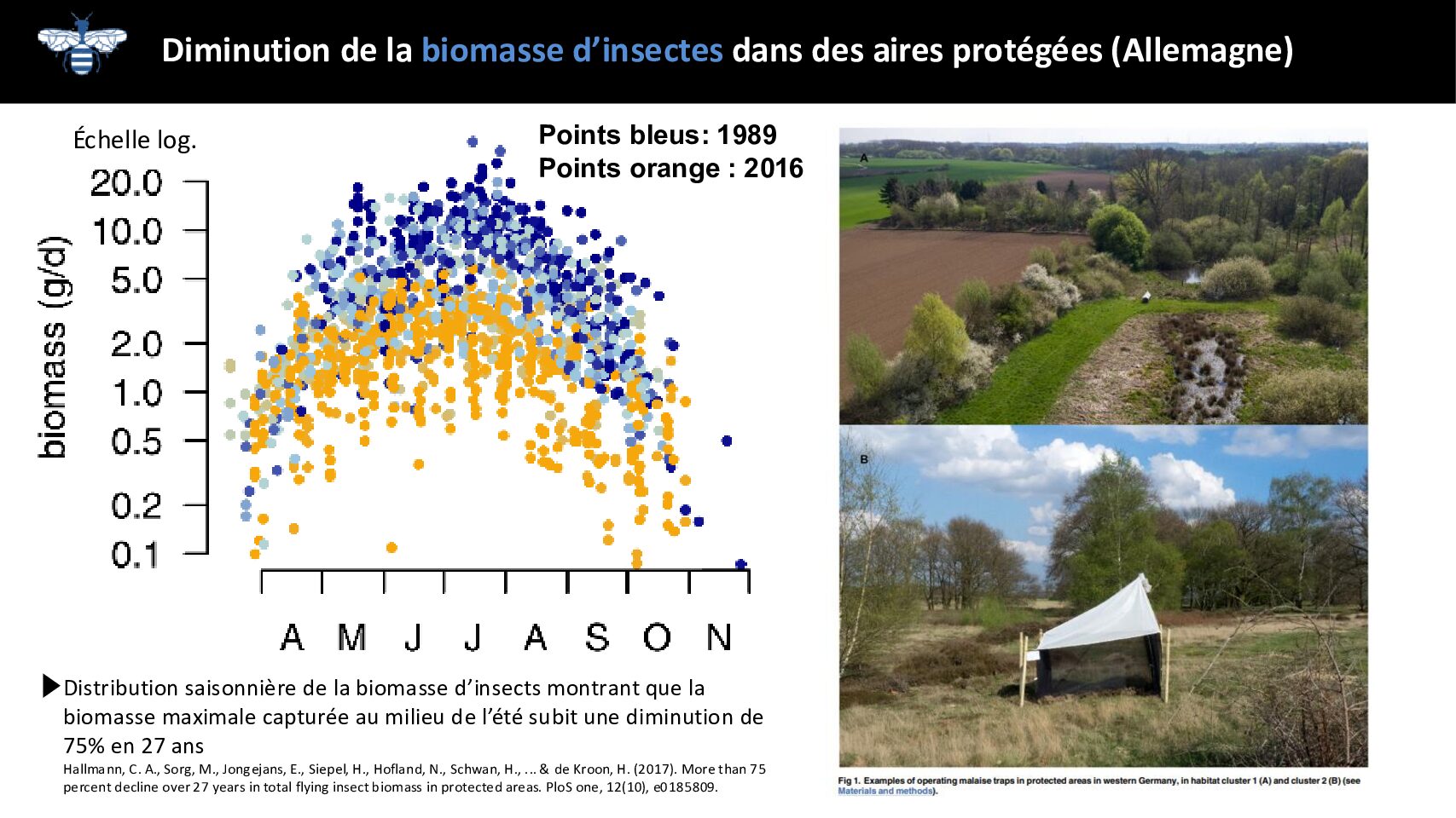 Biomasse-insectes_Samuel Rebulard_Prez_FuturaMobility-300625