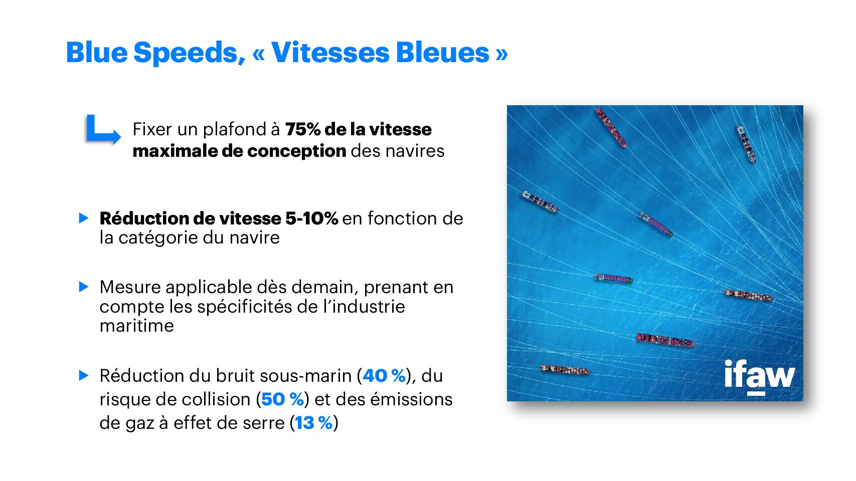 Blue Speeds_IFAW_Aurore Morin_21 mai-2025