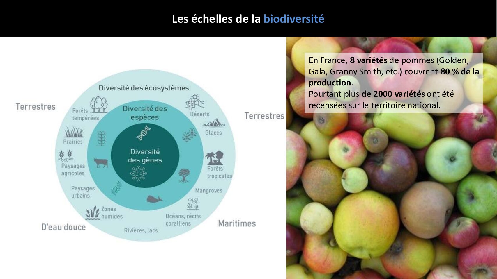 Echelles_Samuel Rebulard_Prez_FuturaMobility-300625