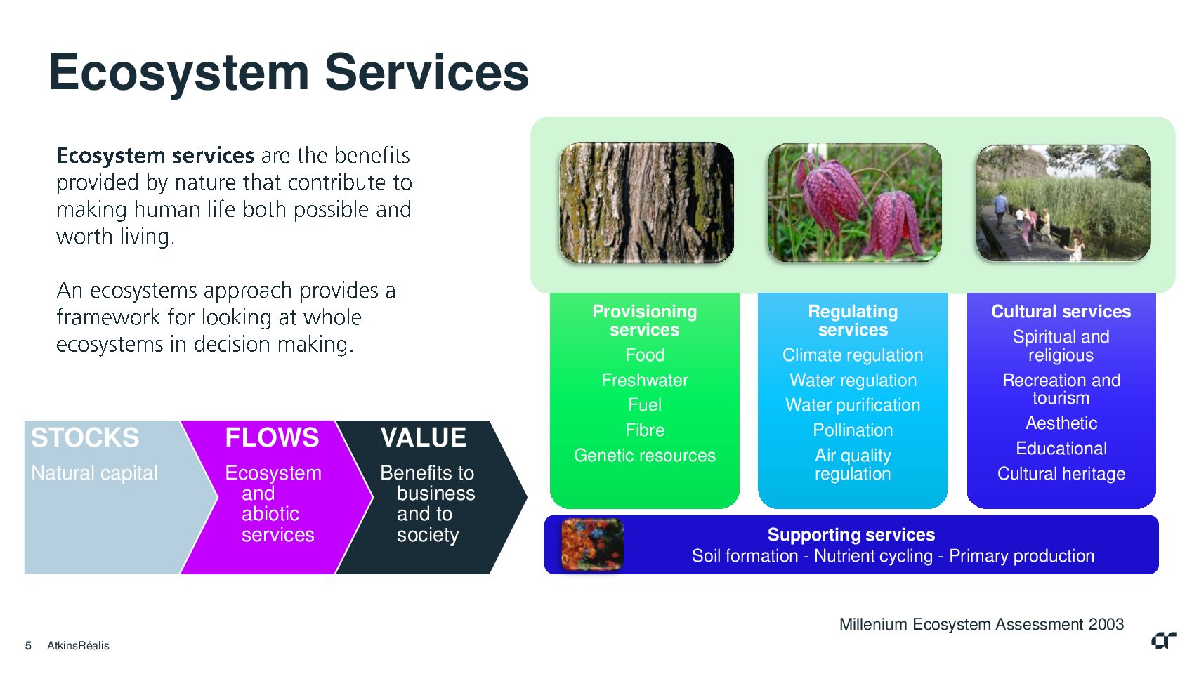 Ecosystem services-Atkins realis-21 mai 2025-FM seance