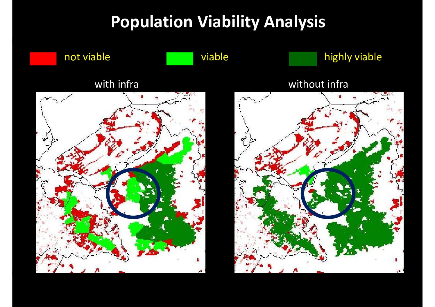 Population viability-Edgard Van der Grift_21 May 2025