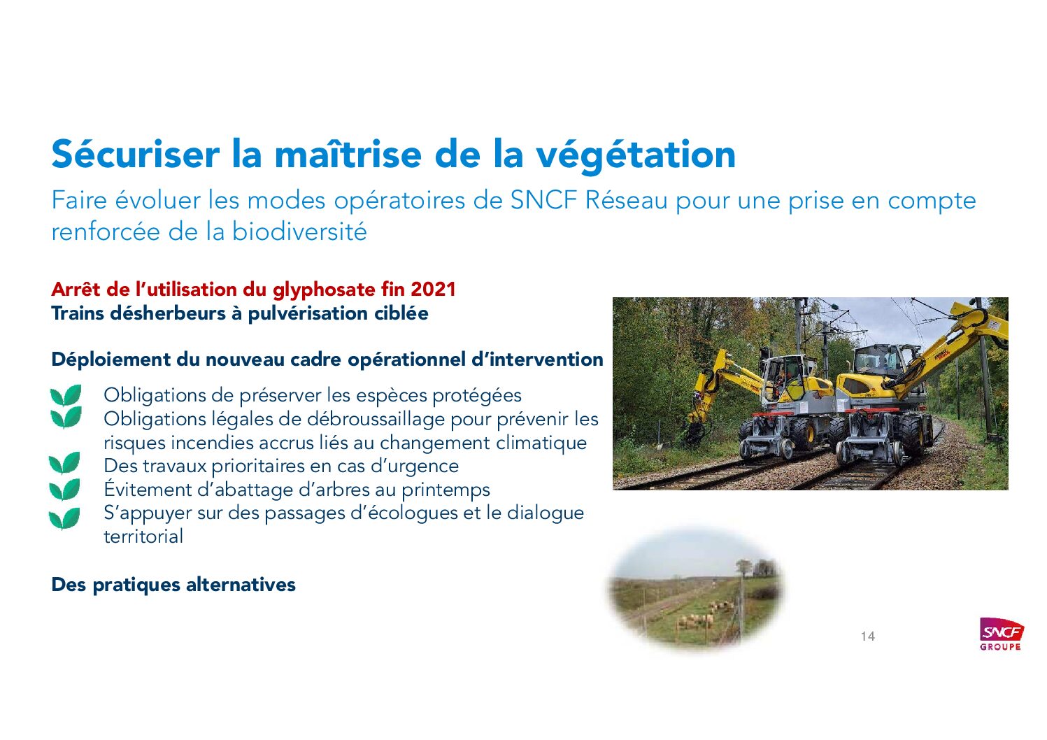 Securiser vegetation_SNCF_A Guerrero C Cremezi_21mai 2025