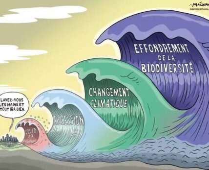 effondrement biodiversite-FR-conviction 10-couverture