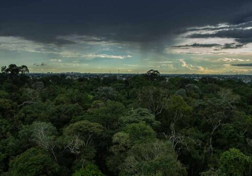 Photo: Raphael Alves-Flickr